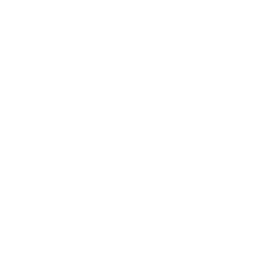 TikTok Icon